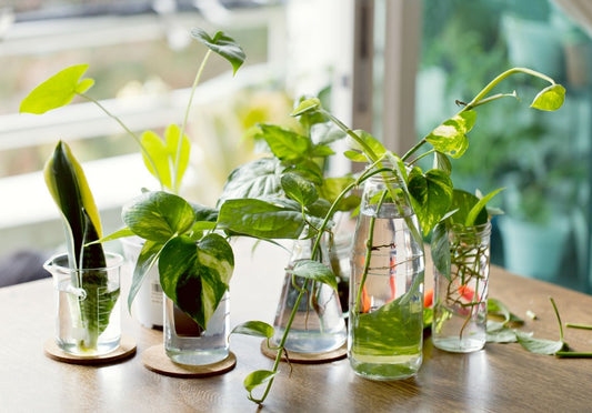 Water Propagation