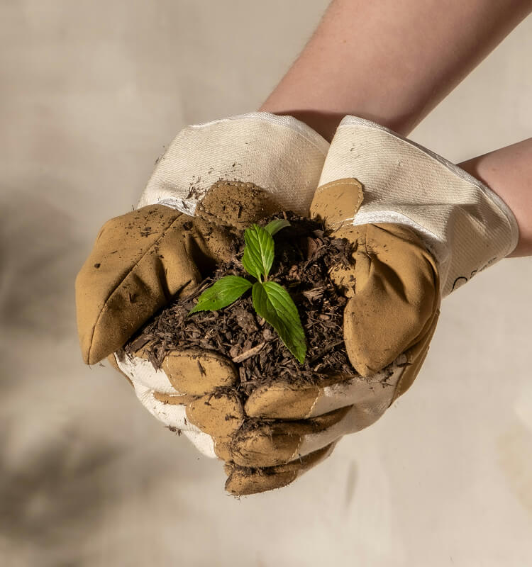 Prepare The Soil