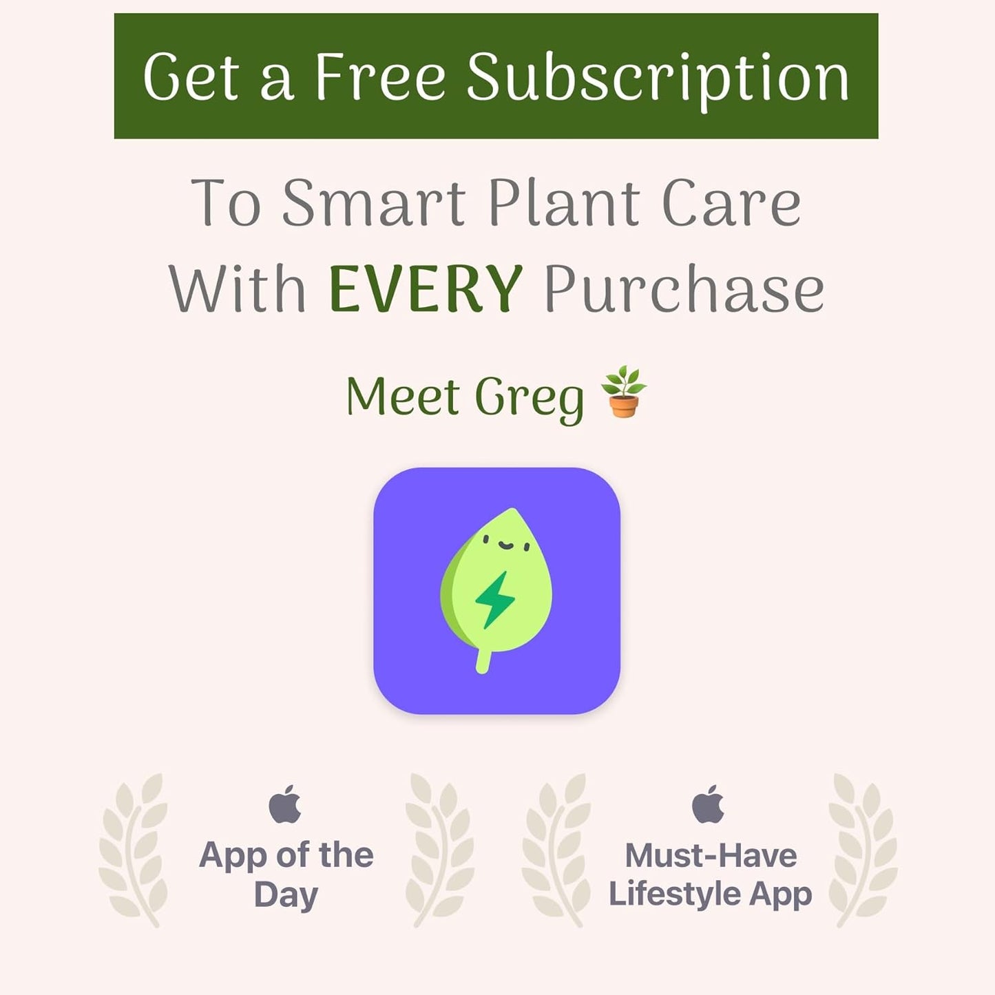 Christmas Cactus Plant, 8-Inch Pot, Hanging Basket, Indoor Houseplant, Assorted Colors Growers Choice
