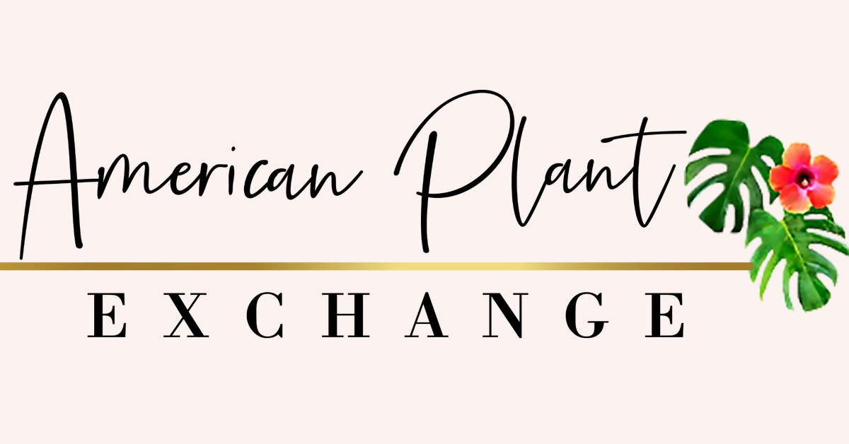 Plant Care AmericanPlantExchange plant-care-americanplantexchange