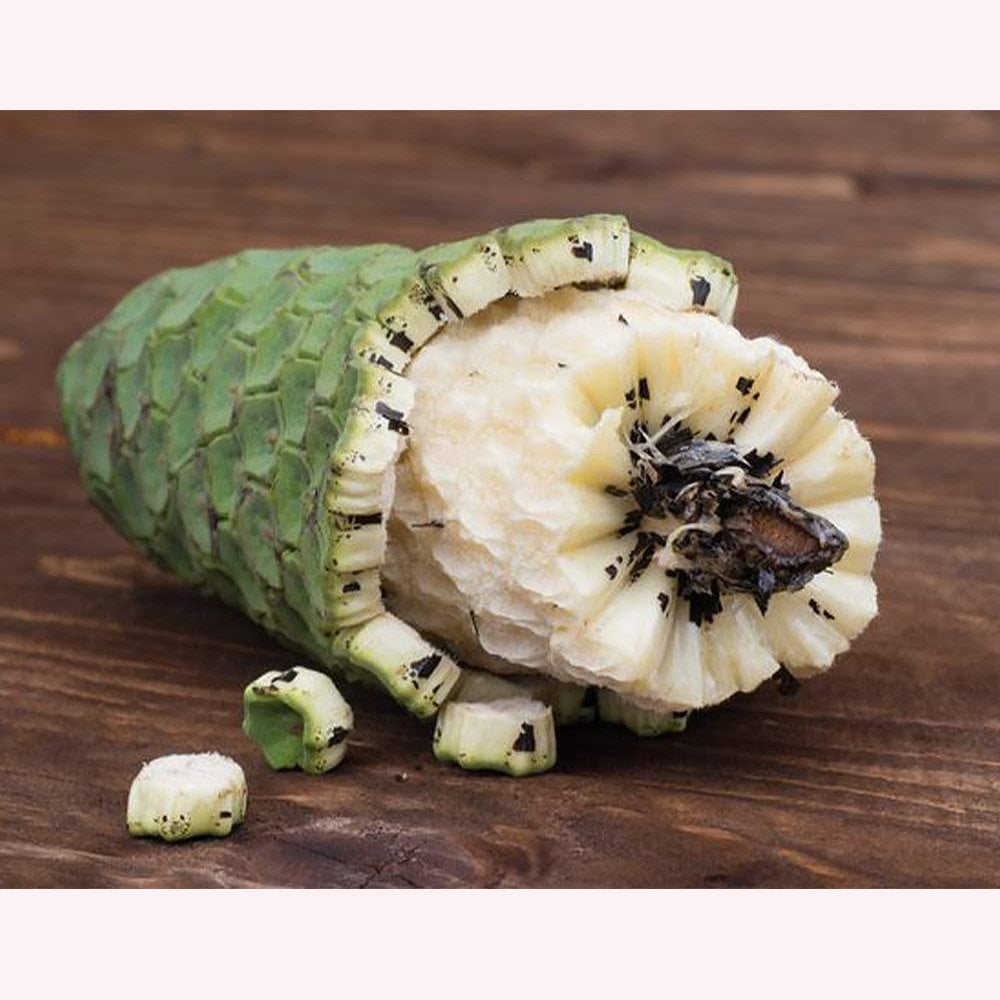 Monstera Deliciosa fruit.