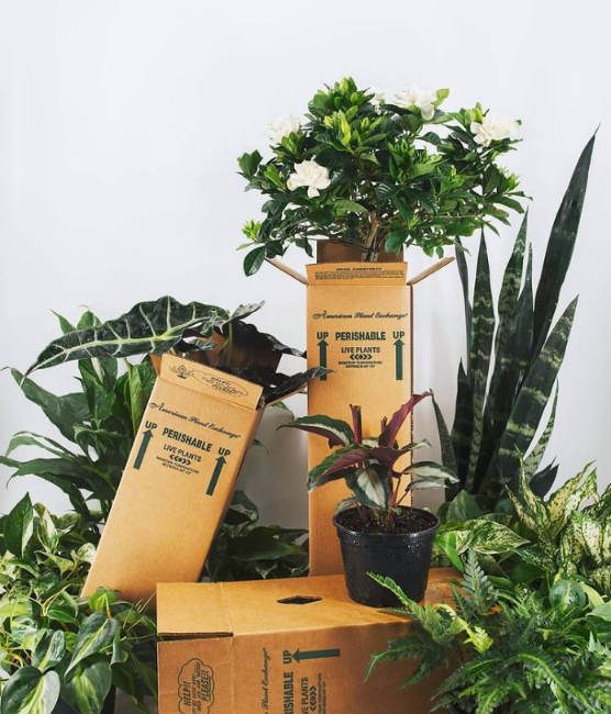 We Package our Plants with Care